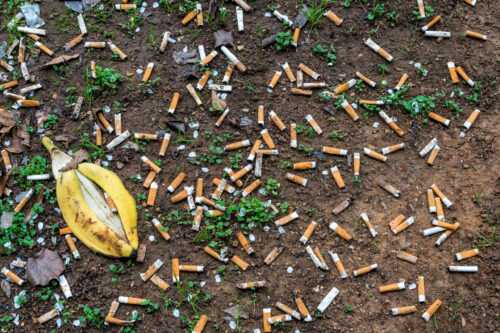 Cigarette Butts Little Ground Near Busy Airport Cigarette Butts Little Ground Near Busy Airport